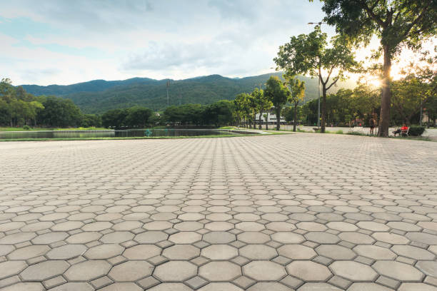 Best Professional Driveway Pavers  in Progress Village, FL